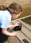 Dissolved Oxygen graphic
